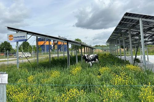 Últimas noticias de la empresa sobre Informe: La UE debe aplicar políticas para definir y apoyar la energía solar inclusiva de la naturaleza